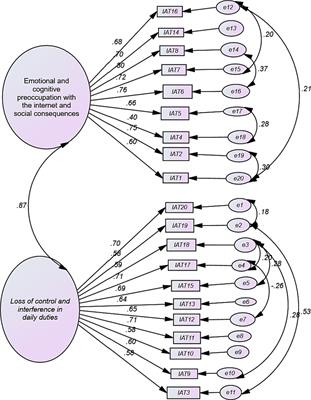 Validation of the Amharic version of Internet Addiction Test-20: a cross-sectional study